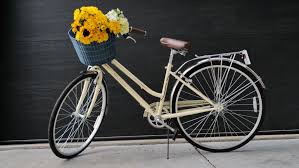 Image result for bicycle basket