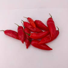 Afbeeldingsresultaat voor chili maya hot pepper hot pepper