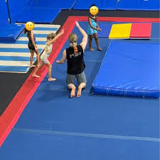 Image result for L&G Acrobatic Gymnastics Club