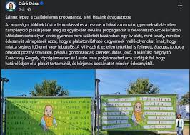 Image result for dúró dóra