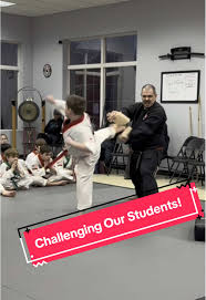 Image result for TRINITY KARATE ACADEMY