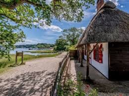 Image result for New Forest/Waterside