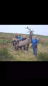 Image result for Whitby Company Of Archers