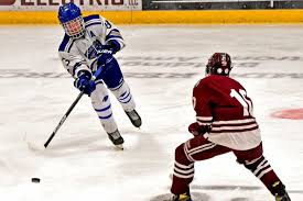 Image result for Demons Skater Hockey Club