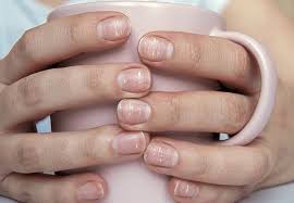 Image result for lunula nail