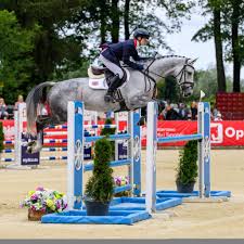 Image result for Fisher Equestrian