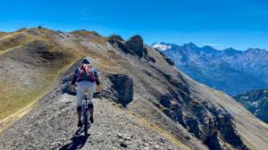 Image result for pheega