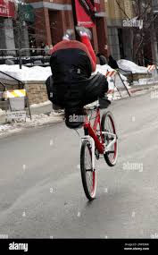 Image result for biker fox