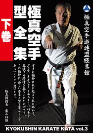 Image result for Kyokushin Karate