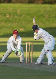 Image result for Rotherham Town Cc