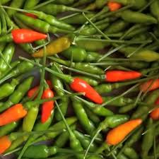 Afbeeldingsresultaat voor thai bird pepper hot pepper