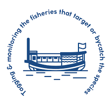 Image result for Raja radula