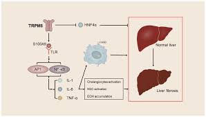 Image result for HTRPC