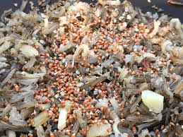 Attēlu rezultāti vaicājumam “Bistorta major fruit”