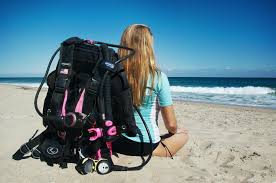 Image result for Great Western Divers