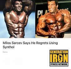 Image result for SYNTHOL