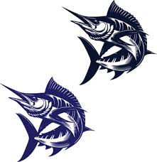 Image result for Makaira mazara