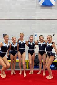 Image result for Hinckley Gymnastics Club