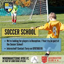 Image result for Woodmansterne Sports Fc
