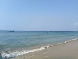 Image result for Erwadi