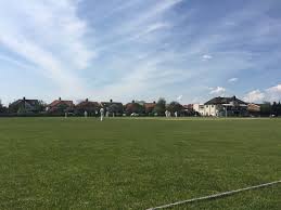 Image result for Old Dorkinian Cricket Club