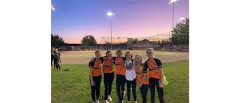 Image result for Dragons Softball Club