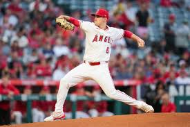 Image result for World Groundball Association