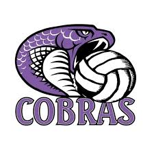 Image result for Chesterfield Cobras Volleyball Club