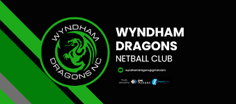 Image result for Wyvern Ladies Netball Club