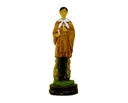 Image result for Saint Ceferino Namuncurá