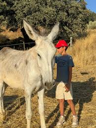 Image result for North Lammermuir Riding Club