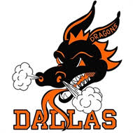 Image result for Dragons Softball Club