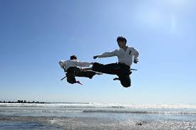 Image result for Tokei Martial Arts Club