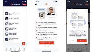 Image result for Calibre Performance Coaching