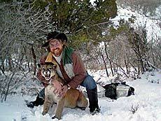 Image result for Ut Cougars