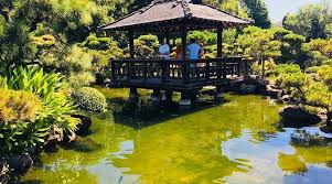 Image result for japanese gardens...
