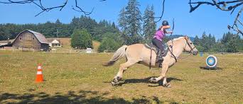 Image result for Carman Stables Archery