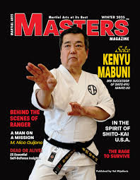 Image result for Masters of Martial Arts