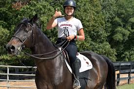 Image result for South Weylands Equestrian