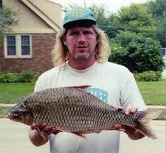 Image result for Carpiodes carpio