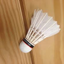 Image result for Leamington Badminton Club