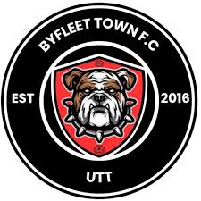 Image result for Byfleet Village Football Club