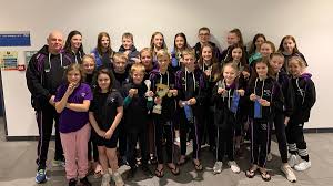 Image result for Bridgwater Amateur Swimming Club