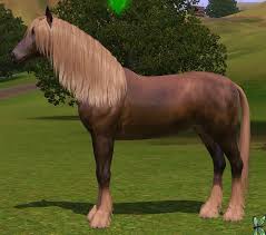 Image result for chestnut friesian