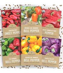 Afbeeldingsresultaat voor marconi golden sweet pepper