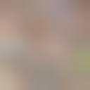 Image result for porn