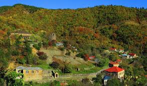 Attēlu rezultāti vaicājumam “Leporida”