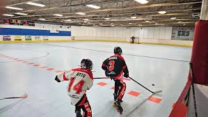 Image result for Urban Knights Inline Roller Hockey