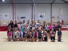 Image result for WALSALL GYMNASTICS CLUB