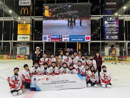 Image result for Ice Hockey International